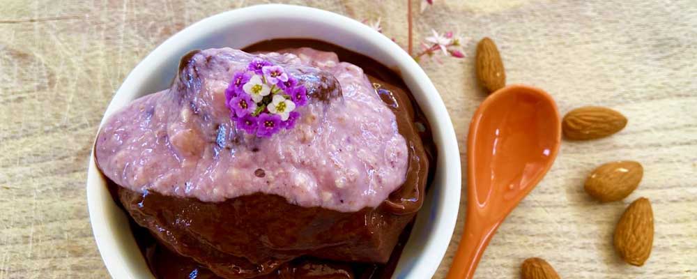 Gelato vegano al cioccolato amaro con topping ai mirtilli e fiori di alisso